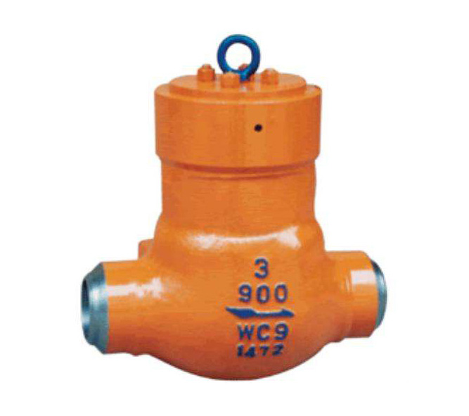 H61Y Power Station Check Valve
